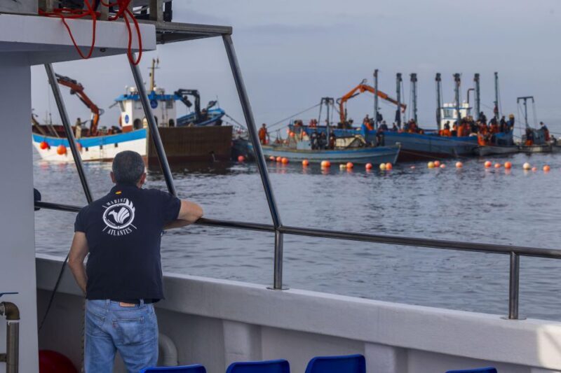 Barbate: Sunset Cruise with Glass of Cava - FAQ