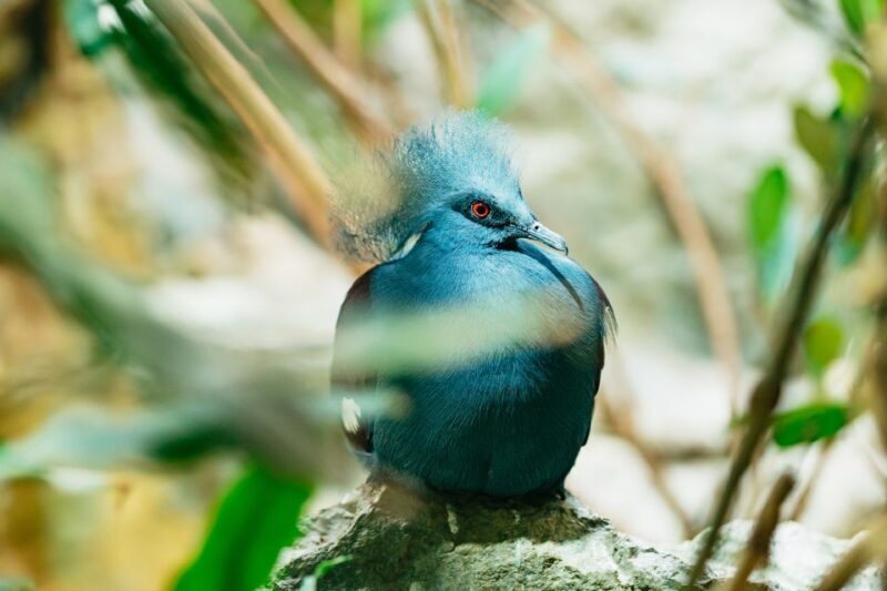 Barcelona: 1-Day Ticket to Barcelona Zoo - Welcome to Our Honest Look at the Barcelona Zoo Experience