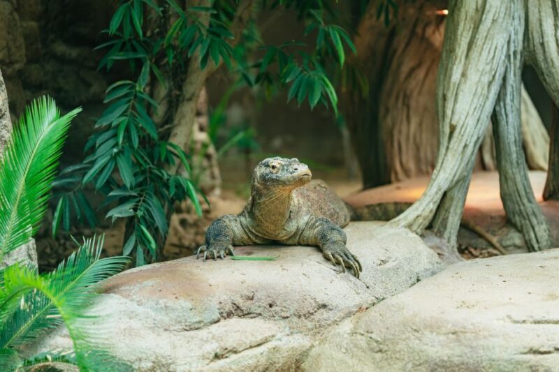 Barcelona: 1-Day Ticket to Barcelona Zoo - FAQ