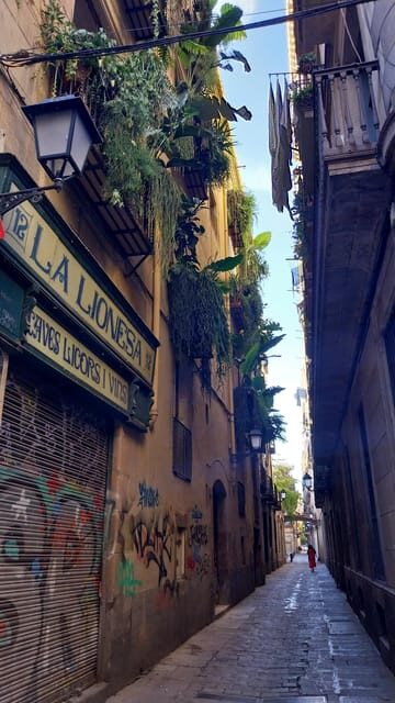 Barcelona 101 Walking Tour: All Highlights in One Day - The Experience Itself: What You Can Expect
