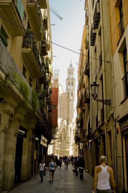 Barcelona: 4-hour Private Guided Walking Tour - What to Expect from This Tour