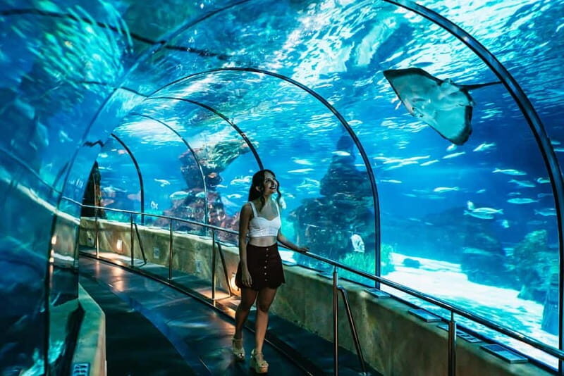 Barcelona Aquarium: Entry Ticket - Practical Details and Tips