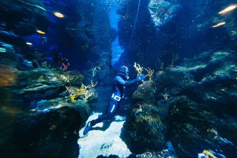 Barcelona Aquarium: Entry Ticket - Authentic Perspectives from Visitors