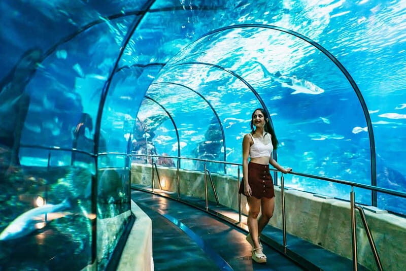 Barcelona Aquarium: Entry Ticket - The Sum Up: Who Will Benefit Most from the Barcelona Aquarium?
