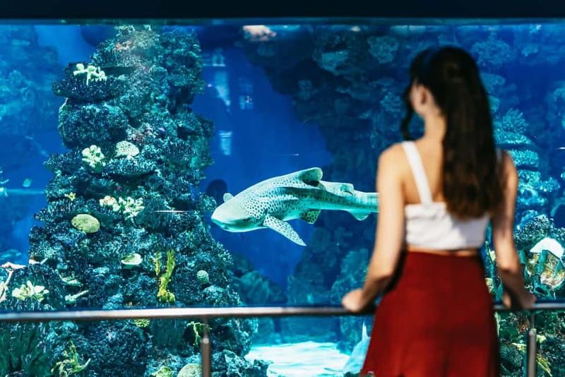 Barcelona Aquarium: Entry Ticket - Mediterranean at center stage: Medes Islands, Ebro Delta, and sea dragons