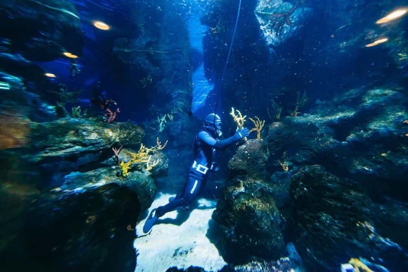 Barcelona Aquarium: Entry Ticket - Tropical, mangroves, and SOS Oceans: learning zones that don’t feel like homework