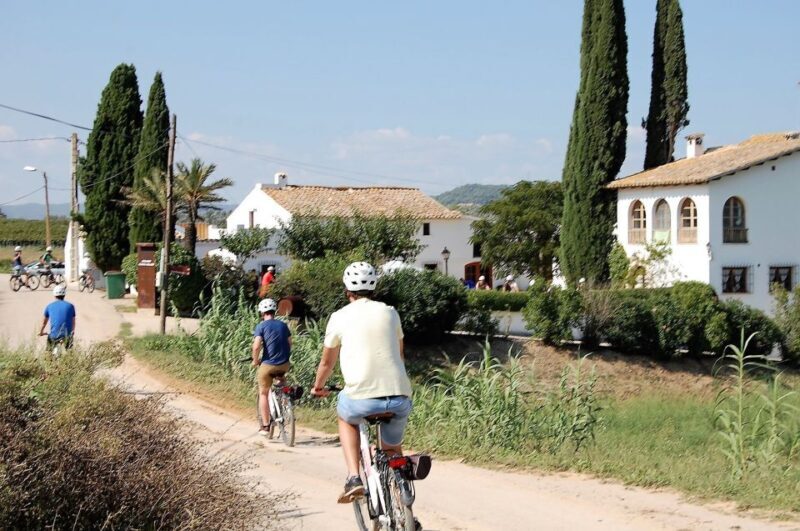 Barcelona: Bike & Wine Guided Tour - Penedès vineyards - FAQ