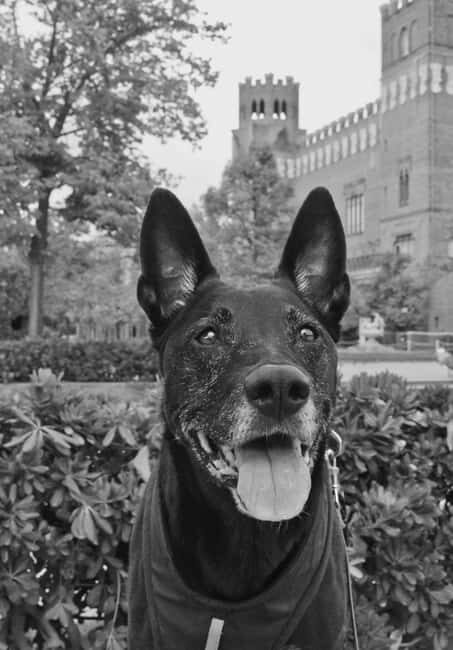 Barcelona: Black & White Cinematic Photoshoot - Key Points