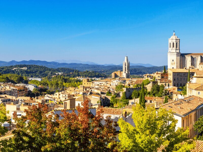 Barcelona: Carcassonne & Girona Tour - An In-Depth Look at the Tour Experience