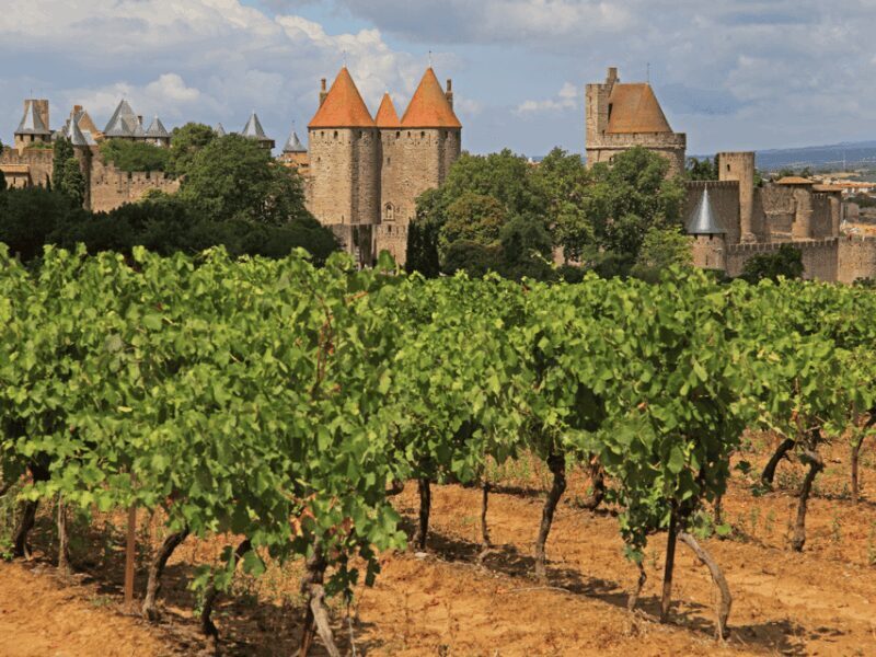 Barcelona: Carcassonne & Girona Tour - FAQs