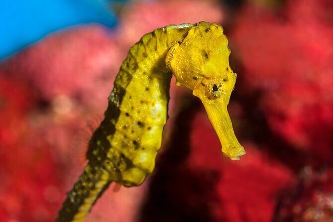 Barcelona Card: Museums + Transport for 72h, 96h or 120h - The Real Experience—What Travelers Say