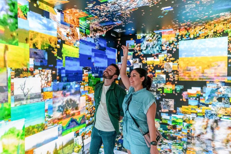 Barcelona: Casa Batlló Entry with Self-Audioguide Tour - Meeting point and entry day logistics (simple, but don’t ignore them)