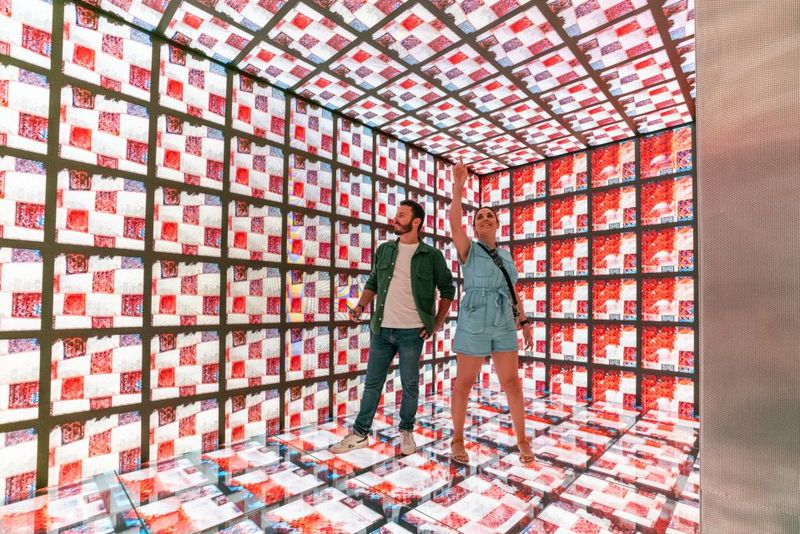 Barcelona: Casa Batlló Entry with Self-Audioguide Tour - Step-by-step: what you’ll do inside Casa Batlló