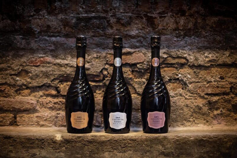 Barcelona: Casa Codorníu Guided Tour with Cava Tastings - Final Thoughts: Who Will Benefit Most?