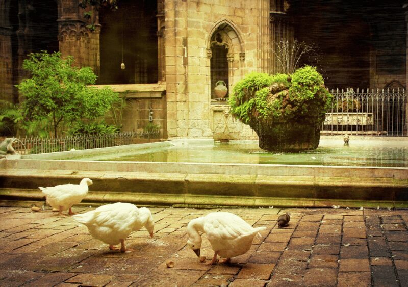 Barcelona Cathedral: Ticket, Guided Tour and VR Experience - Is This Tour Right for You?