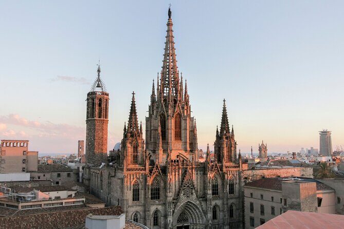 Barcelona Cathedral: Ticket, Guided Tour, Terrace + VR Experience - An In-Depth Look at the Barcelona Cathedral Tour