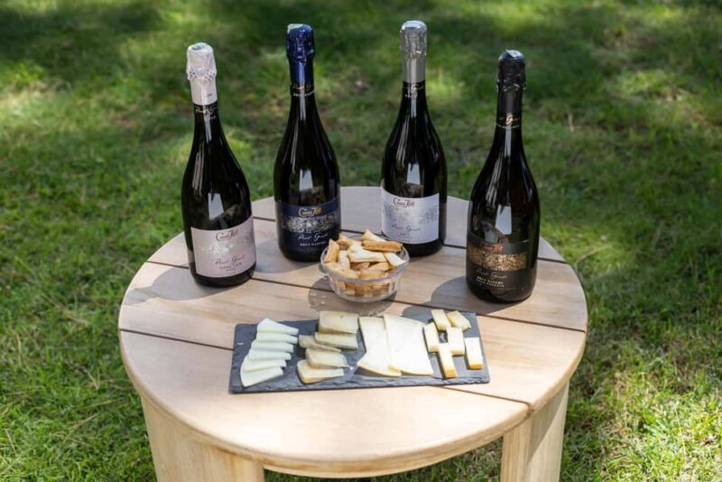 Barcelona: Cavas Hill - Winery Tour & Cheese Tasting - Practical Considerations