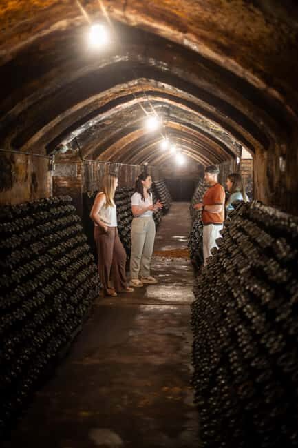 Barcelona: Cavas Hill Winery Tour with Catalan Brunch - Authentic Feedback from Visitors