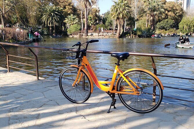 Barcelona City Highlights Bike Tour with E-Bike Option - Key Points
