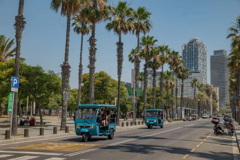 Barcelona: City Highlights Private Tuk-Tuk Tour - Who Is This Tour Best For?