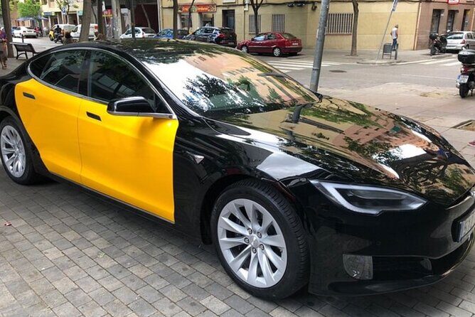 Barcelona City to Cruise Port Private Transfer - The Fine Print: Booking, Cancellation, and Additional Info