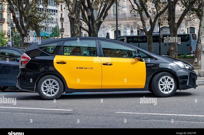 Barcelona city to/from Airport, cruise Port private Transfer - Final Thoughts