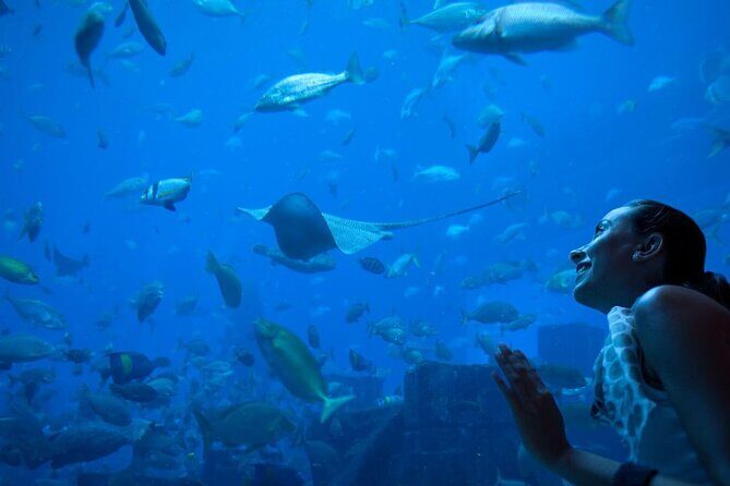 Barcelona City Tour Hop-On Hop-Off and Aquarium - Exploring the Bus Routes and Stops