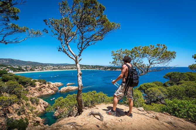 Barcelona: Costa Brava Easy Hike, Snorkel, Cliff-Jump & Meal - Meet the Route: Cove to Coastal Walk to the Best Viewpoints