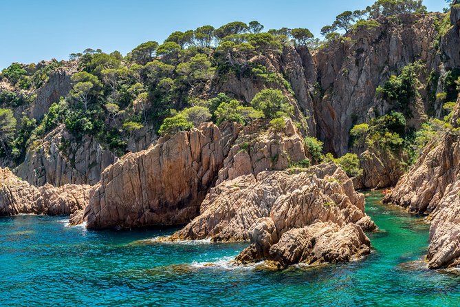 Barcelona: Costa Brava Easy Hike, Snorkel, Cliff-Jump & Meal - Optional Cliff-Jumping: Safety-First, Choice-Based
