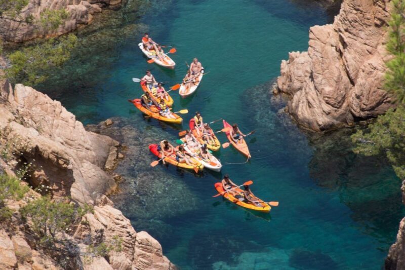 Barcelona: Costa Brava Kayak, Snorkel & Cliff Jump & Lunch - Who Is This Tour Best For?