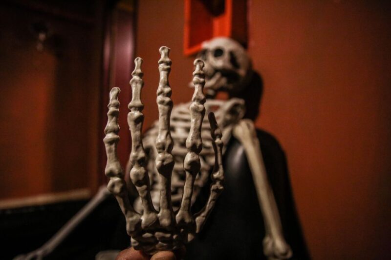 Barcelona: Escape Room Experience and Sailing Cruise - Key Points