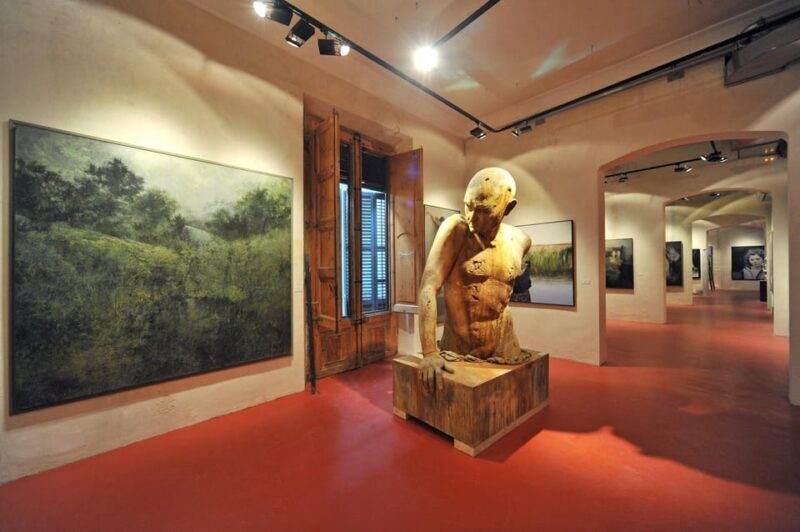 Barcelona: European Museum of Modern Art Entry Ticket - Key Points