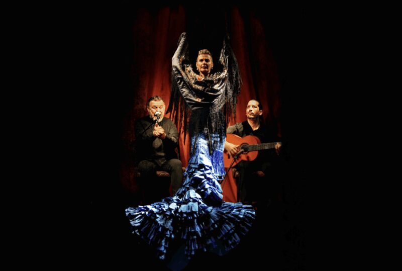Barcelona: Flamenco Premium Show and Tour Guitar Museum - Key Points