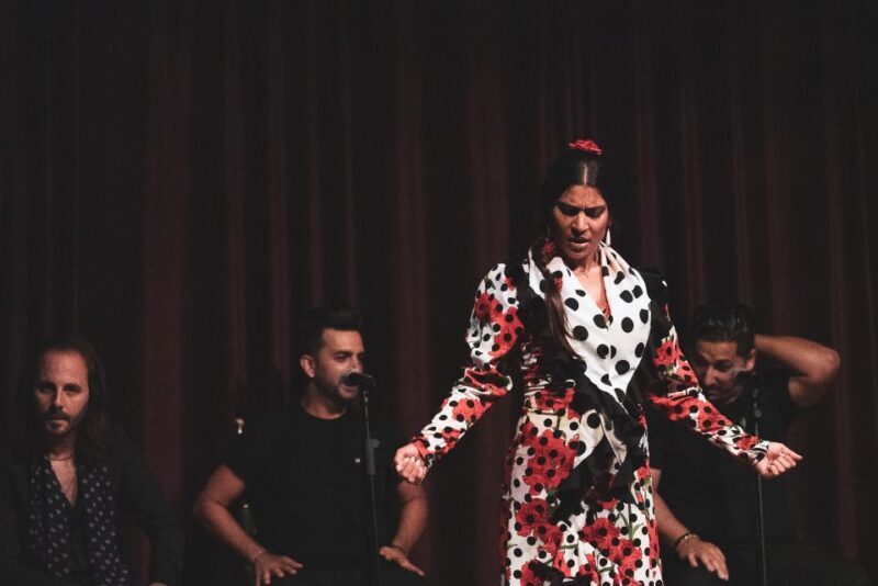 Barcelona: Flamenco Show at Palau Dalmases - A Closer Look at the Experience