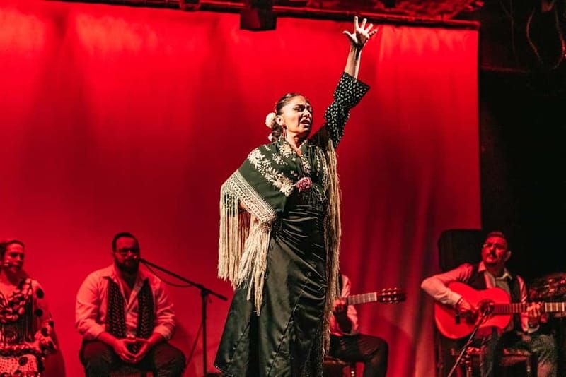 Barcelona: Flamenco Show at the Theater - The 1-Hour Show Breakdown: What You’ll See