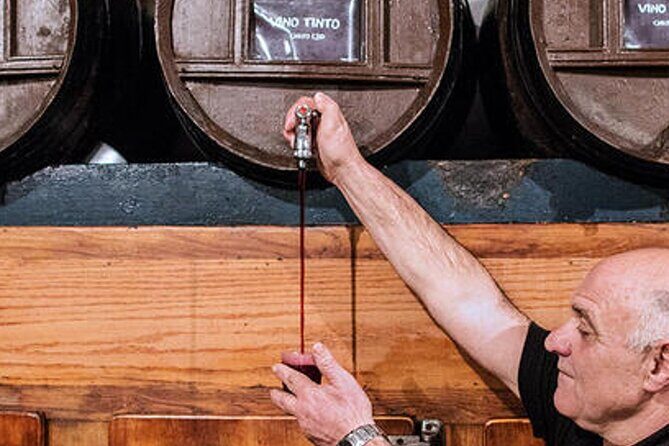 Barcelona Food, Wine and Tapas tasting tour - Morning - A Closer Look at the Tour Experience