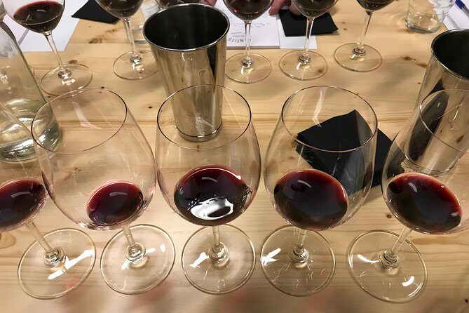 Barcelona Fun Wine Tasting with a Sommelier - Key Points