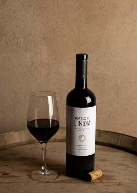 Barcelona: Gourmet Wine Tasting and Catalan Tapas - Key Points