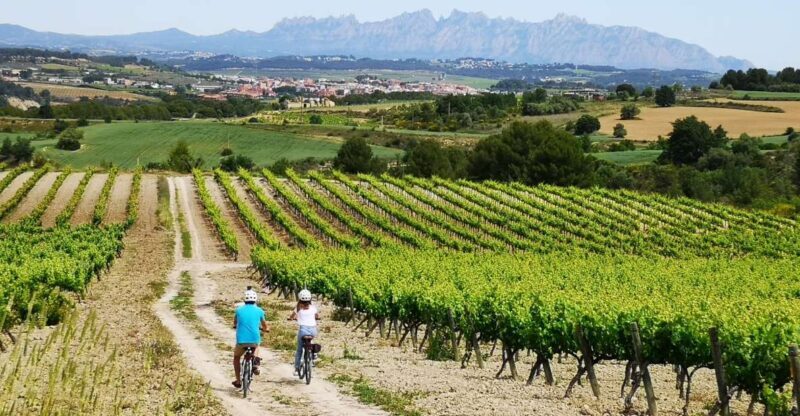 Barcelona: Guided Half-Day Wine and Electric Bike Tour - A Closer Look at the Tour Experience
