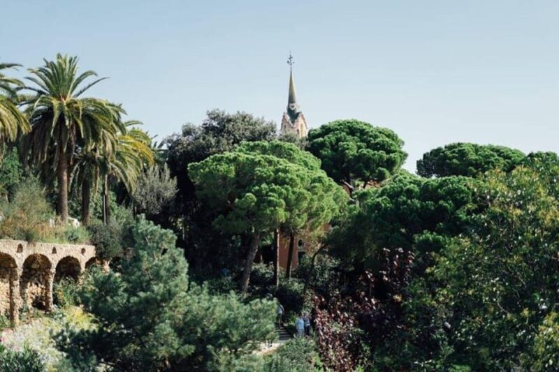 Barcelona: Half-Day Private Tour with Driver - Key Points