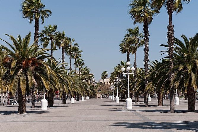 Barcelona Half-Day Sightseeing Private Tour - Frequently Asked Questions