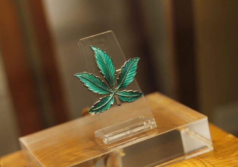 Barcelona: Hash Marihuana & Hemp Museum Entry Ticket - What to Expect During Your Visit