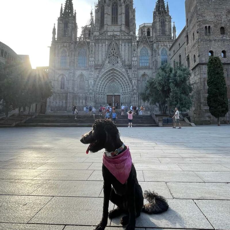 Barcelona: Hidden Gems Walking Tour with a Local & Dog - Is It Worth the Price?