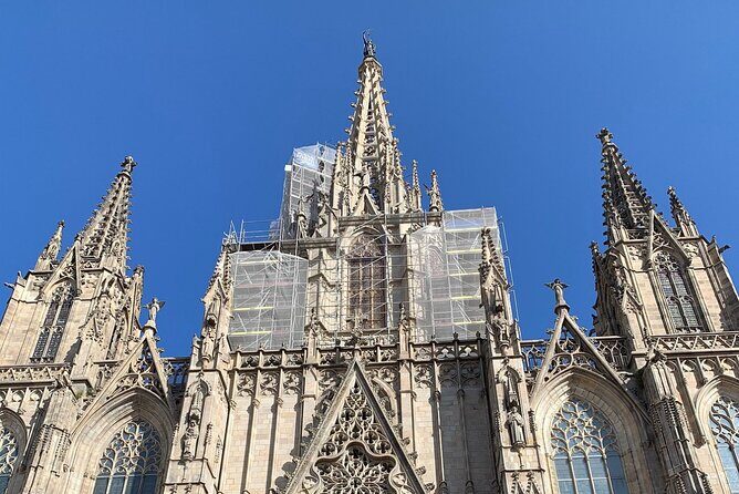 Barcelona Highlights Private Tour - What the Tour Offers