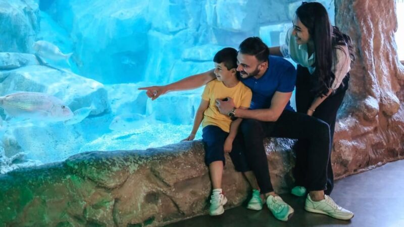 Barcelona: Hop-On Hop-Off Bus & Aquarium Tour - What You Can Expect from the Tour