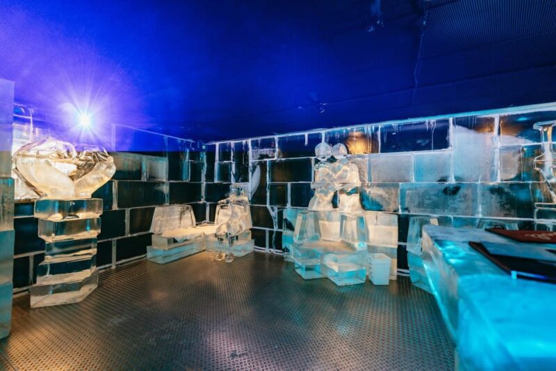 Barcelona: Ice Bar Experience Entry Ticket with 1 Drink - The Sum Up