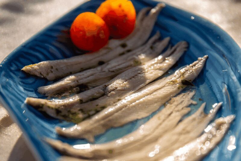 Barcelona: Local Tapas and Drinks Sailing Adventure Tour - Who Is This Tour Best For?