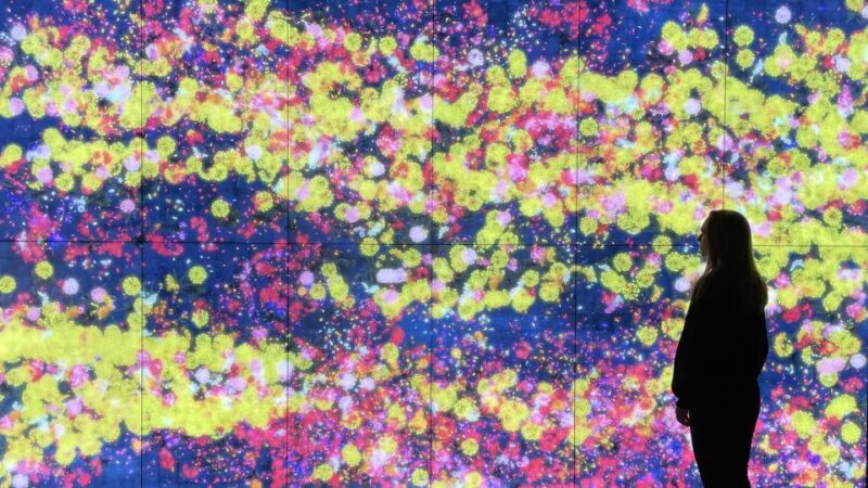 Barcelona: Moco Museum Private Guided Tour - Is This Tour Worth the Price?