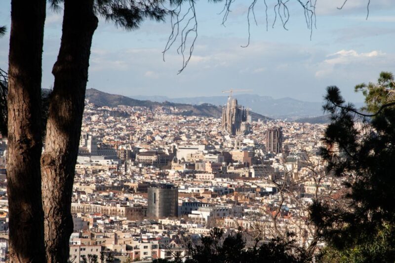 Barcelona: Montjuïc Walking Tour With Optional Flamenco Show - The Value of This Tour