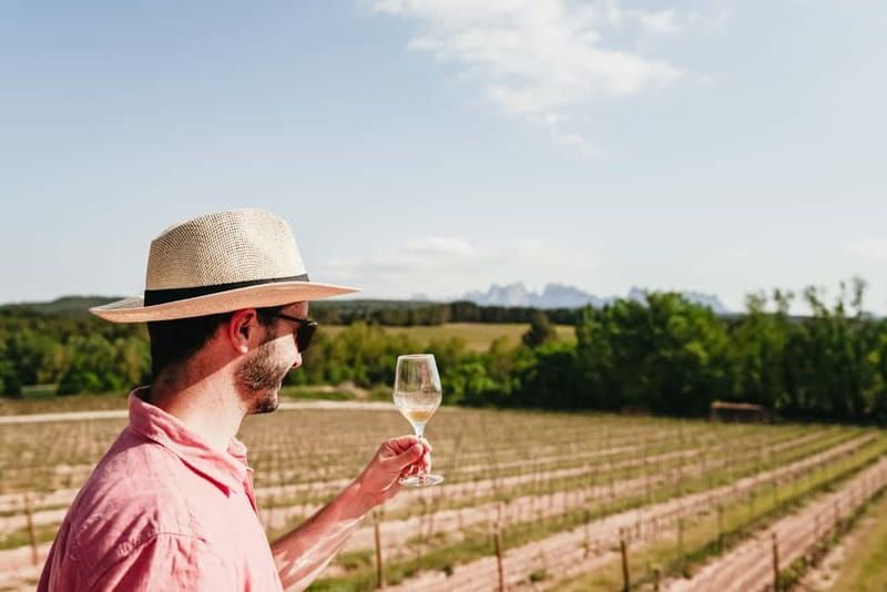 Barcelona: Montserrat, Cogwheel, Black Madonna & Winery Tour - Black Madonna access, choir tickets, and the museum: what’s included vs. what’s extra